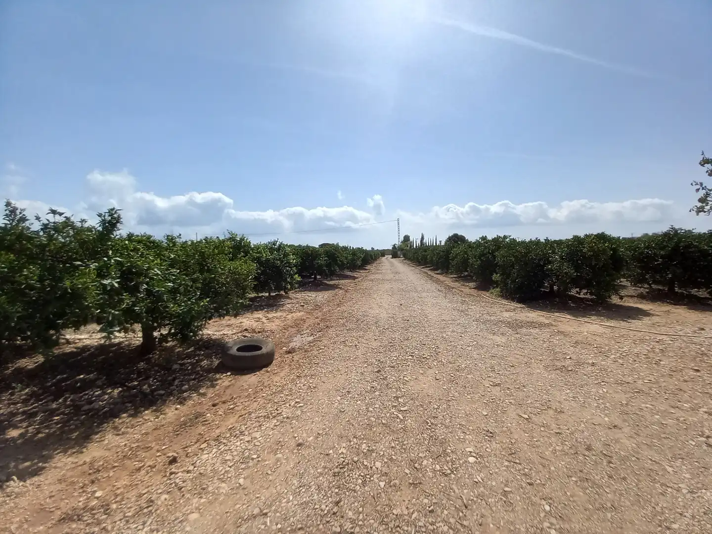 Terreno rustico in vendita a Costa Norte, imagen 29