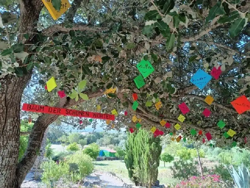 Jardí de Casa o xalet en venda en Porreres amb Calefacció, Jardí privat i Terrassa