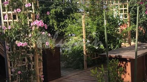 Foto 3 de Finca rústica en venta en Valle San Lorenzo, Arona