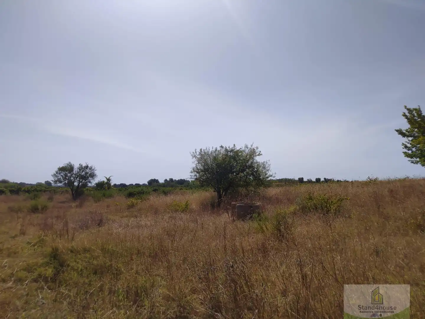 Finca rústica en venda a Villarrasa