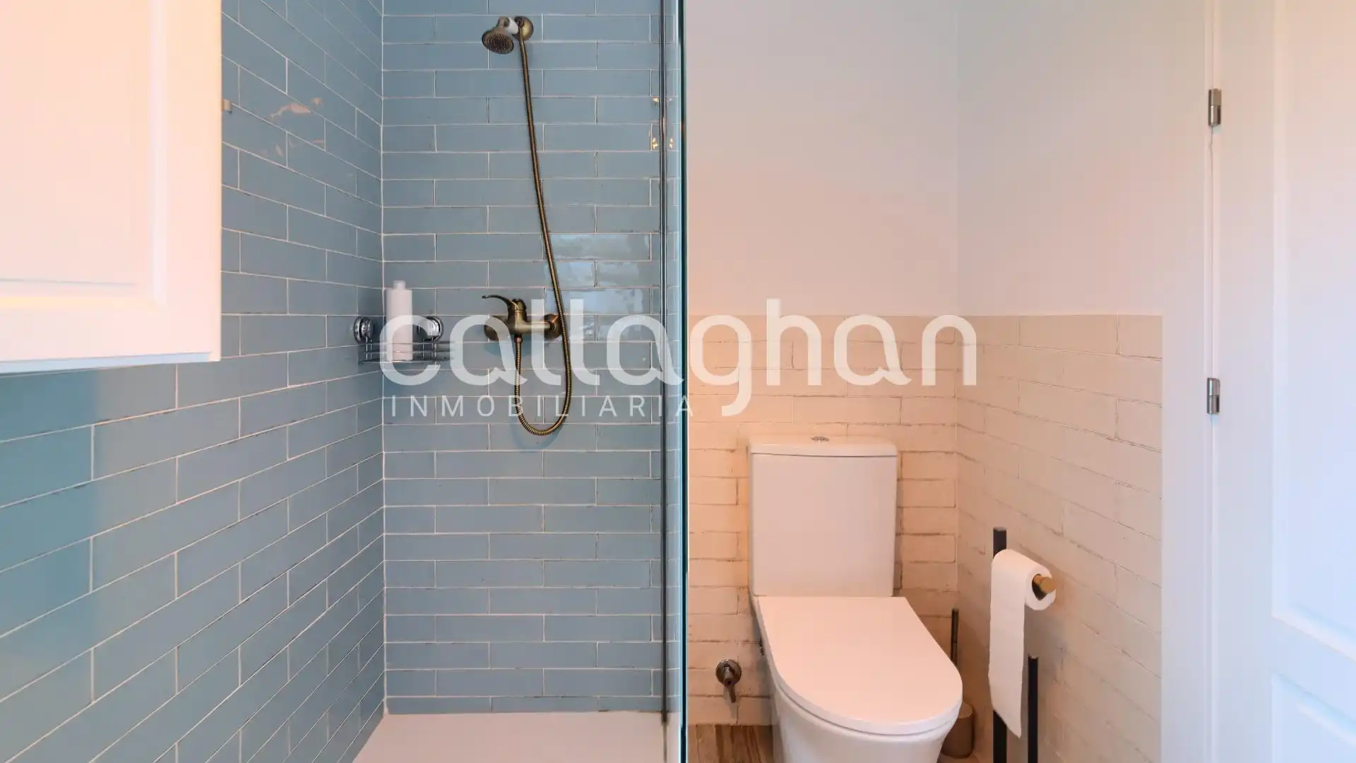 Baño de Casa o chalet en venta en Alzira con Calefacción, Jardín privado y Terraza