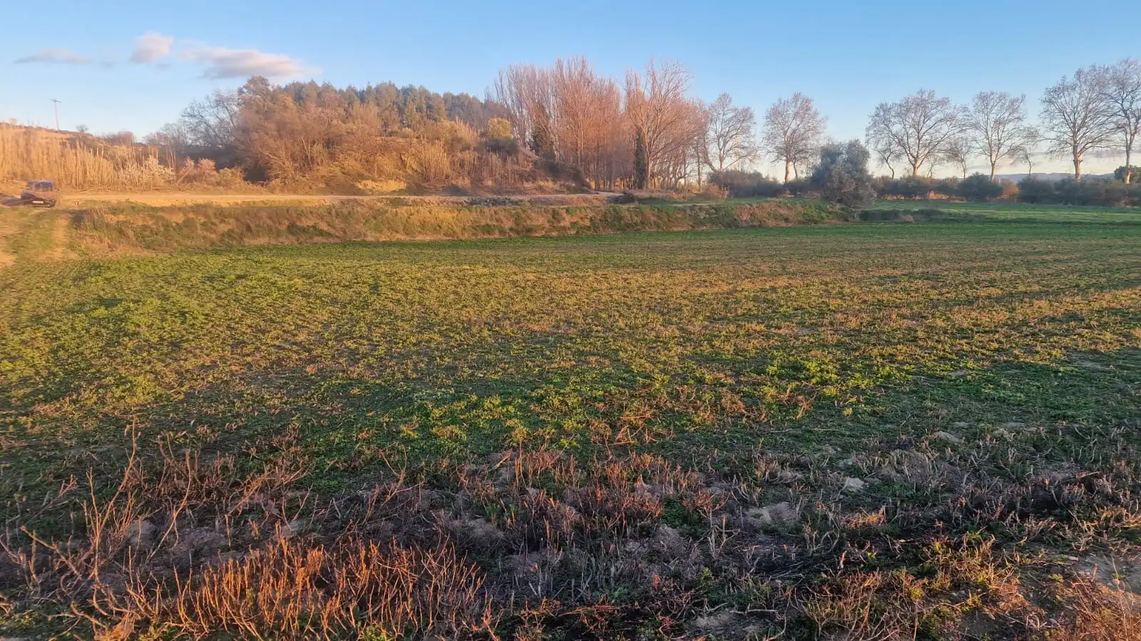 Rural land for sale in Juneda
