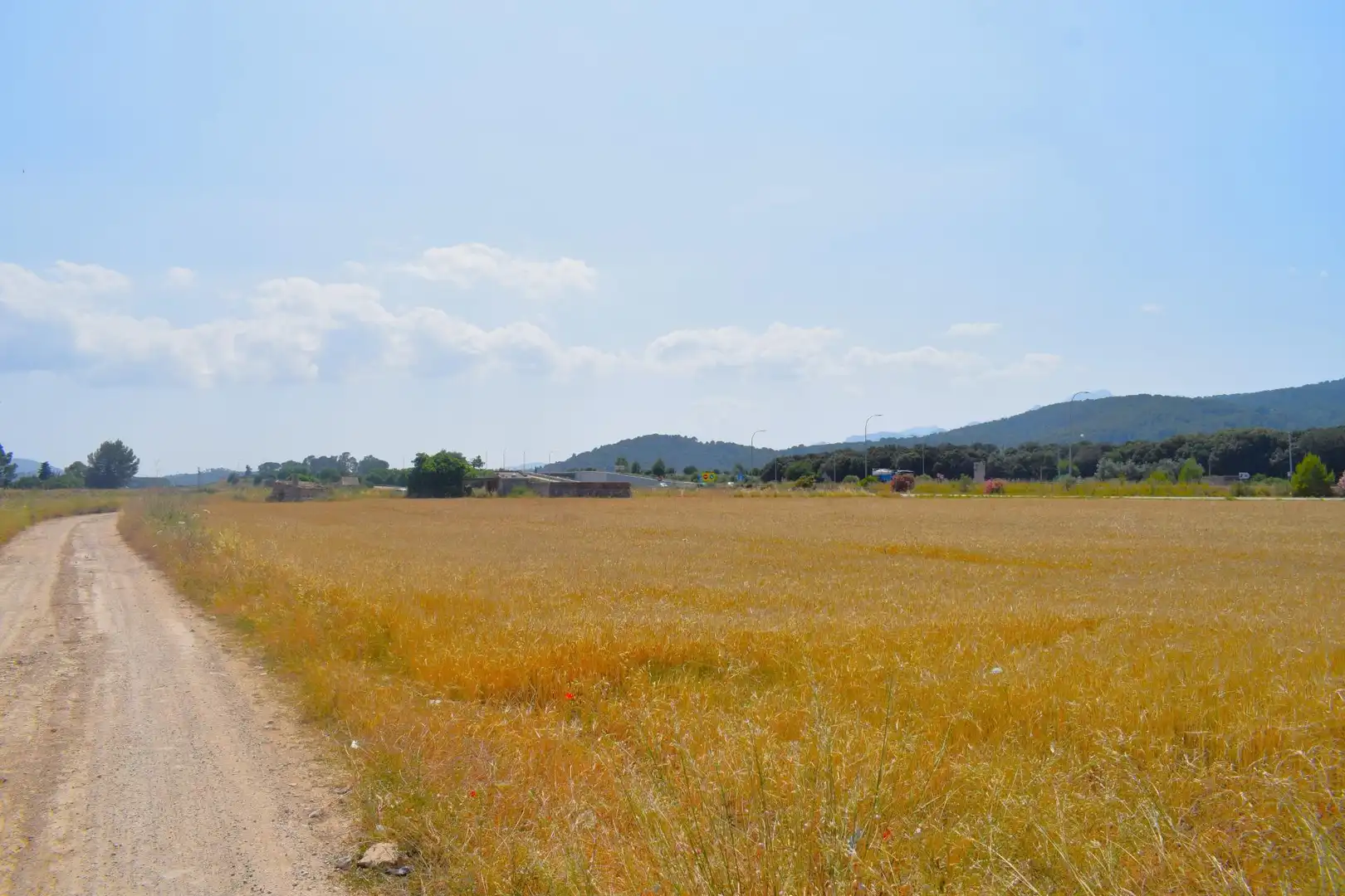 Rural land for sale in Sa Pobla, imagen 8