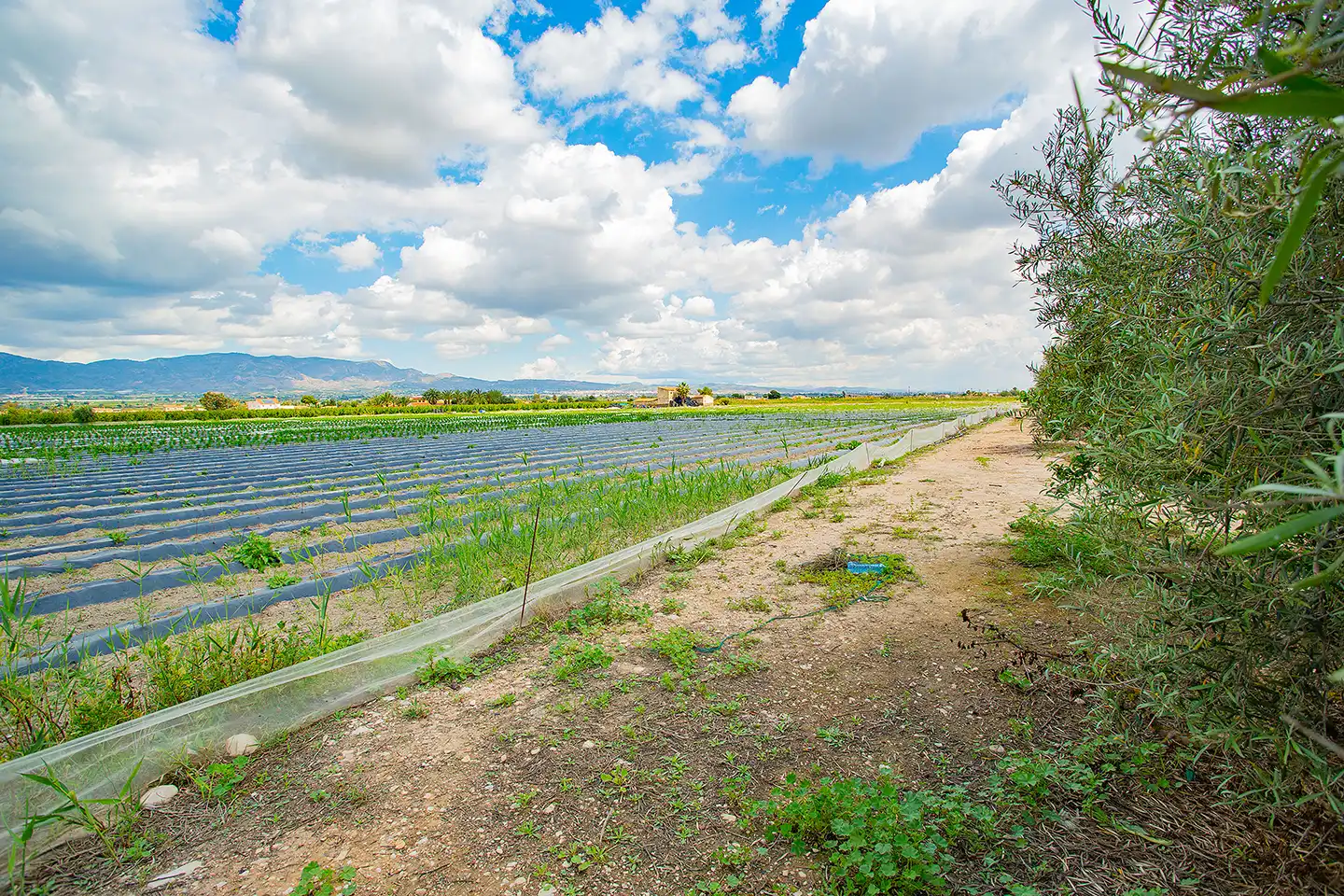 Finca rústica en venda en San Isidro