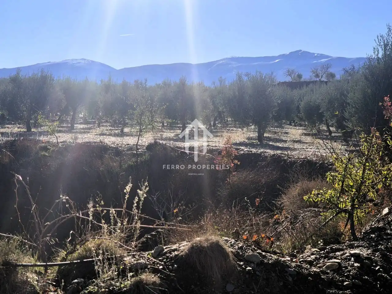 Lands and plots for sale in Lanteira, imagen 16