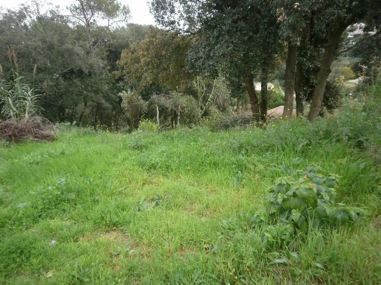 Residential land for sale in Palafolls, imagen 2