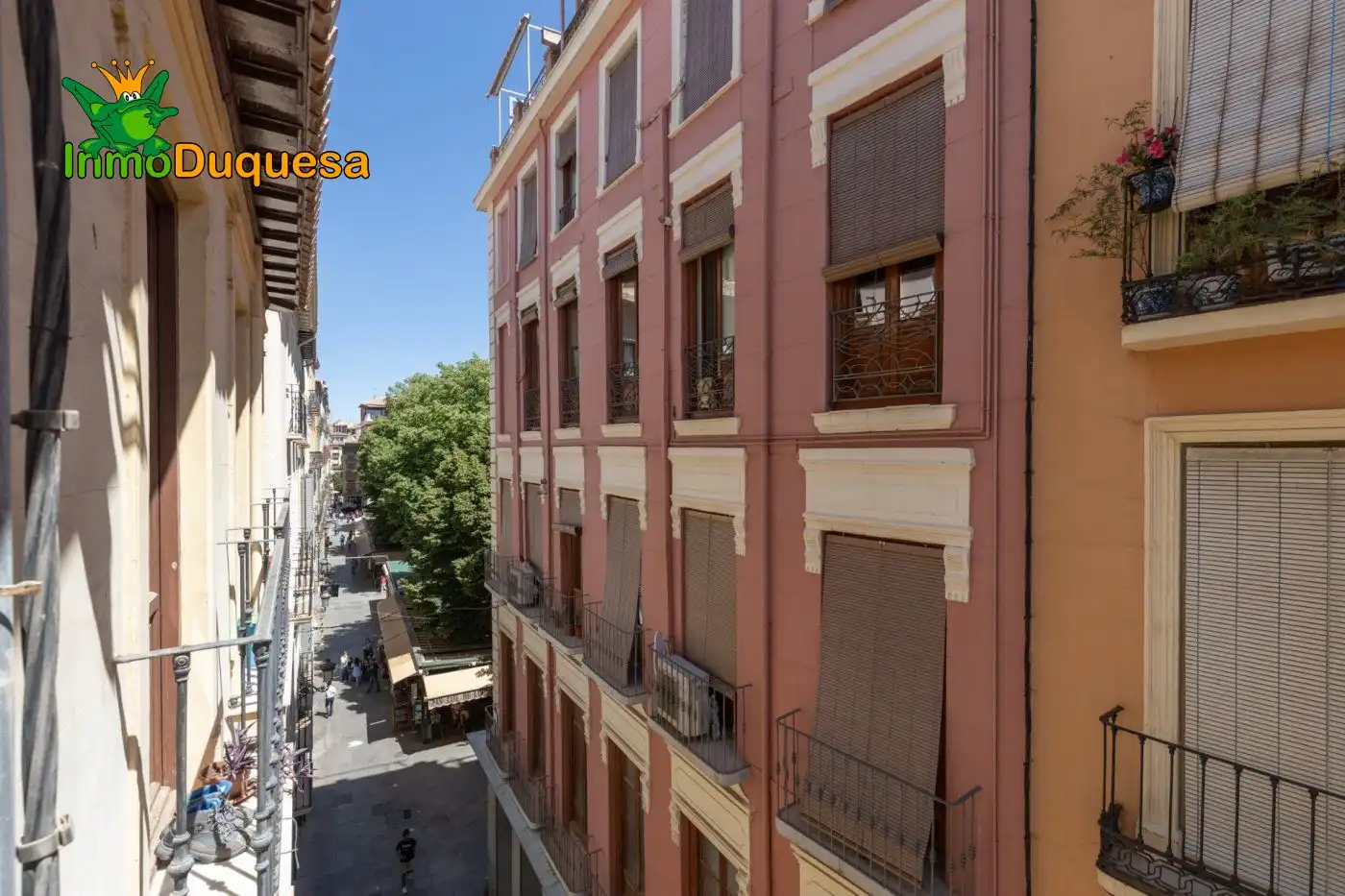 Inmuebles singulares en venta en Centro, imagen 20