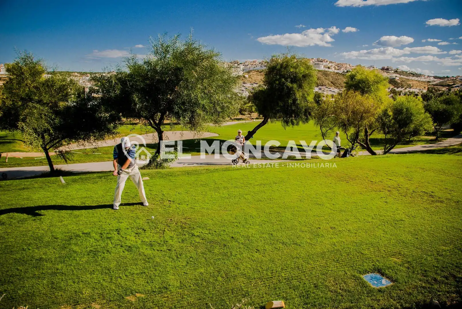 Chalet con jardín en venta en Rojales, imagen 19