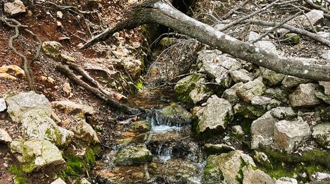 Foto 2 de Finca rústica en venda a Escorca, Illes Balears