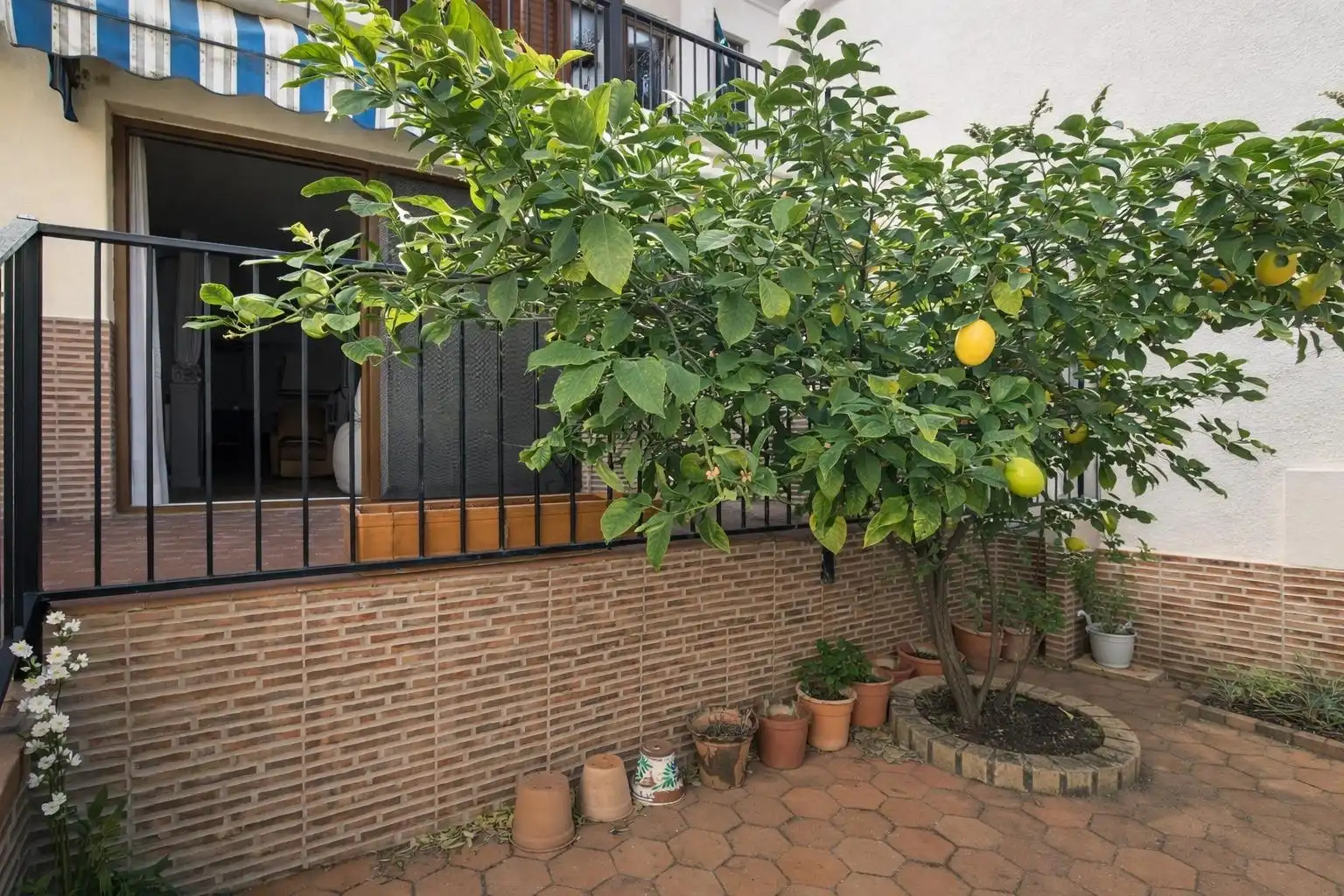 Casa con terrazza in vendita a Sot de Ferrer, imagen 25