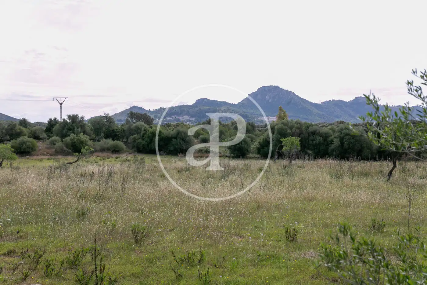 Terreny residencial en venda a Av. Montferrutx, imagen 24