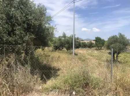 Terreny rústic en venda a PT SUP-2, imagen 8