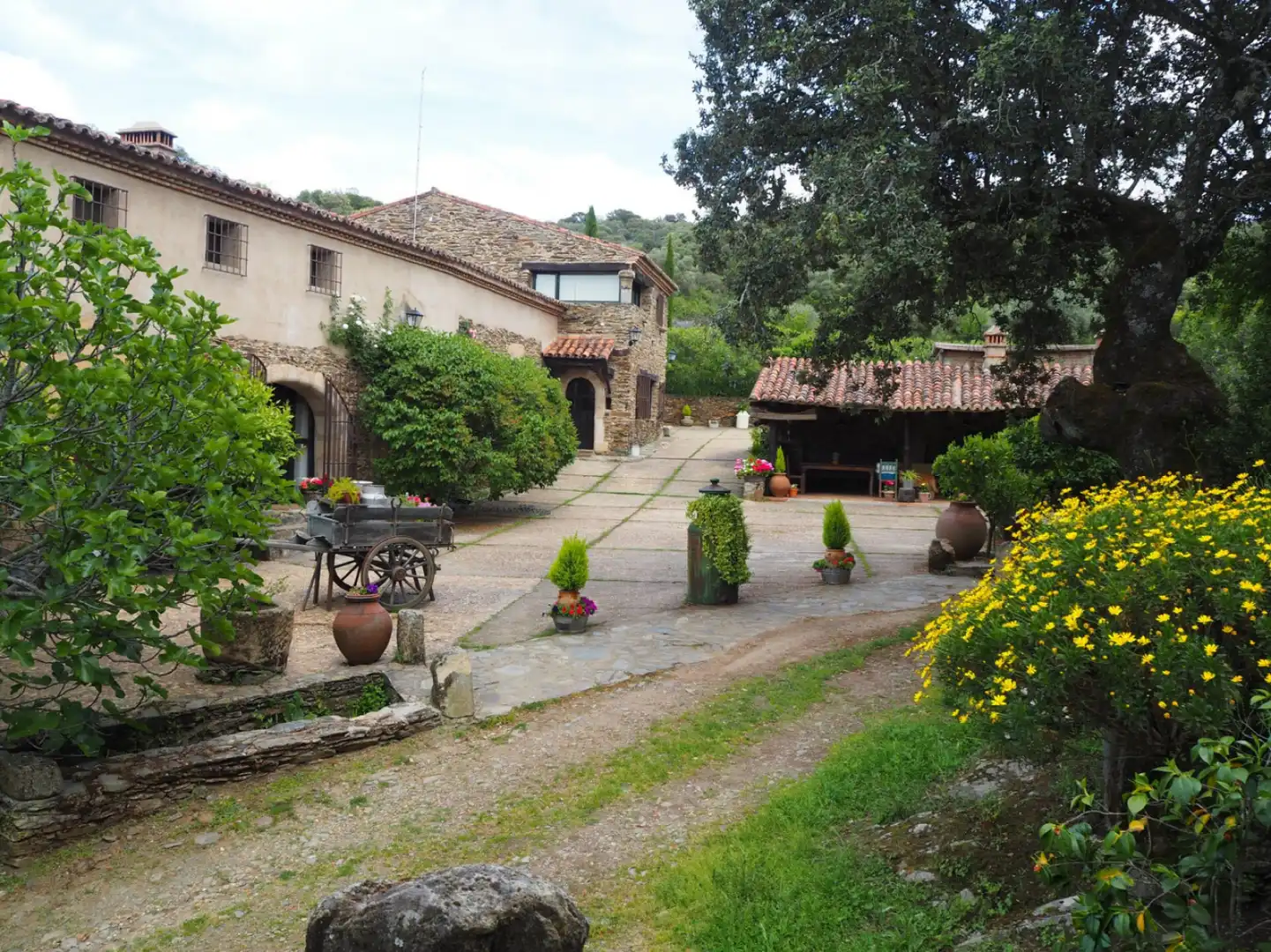 Houses for sale in Madroñera - LAS ANIMAS, Madroñera