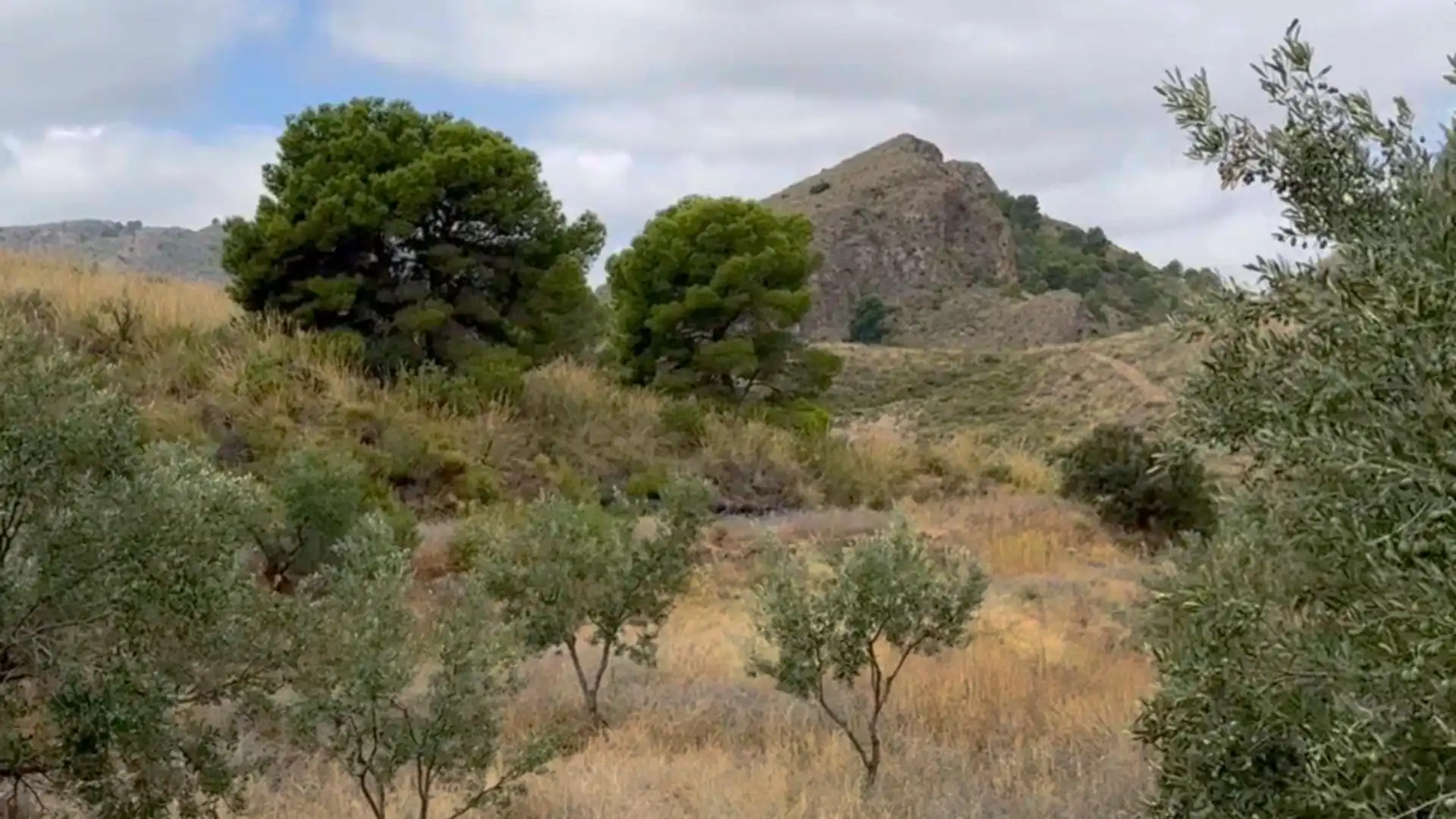 Country homes for sale in Lorca  with Private garden