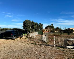 Land for sale in Peñíscola / Peníscola