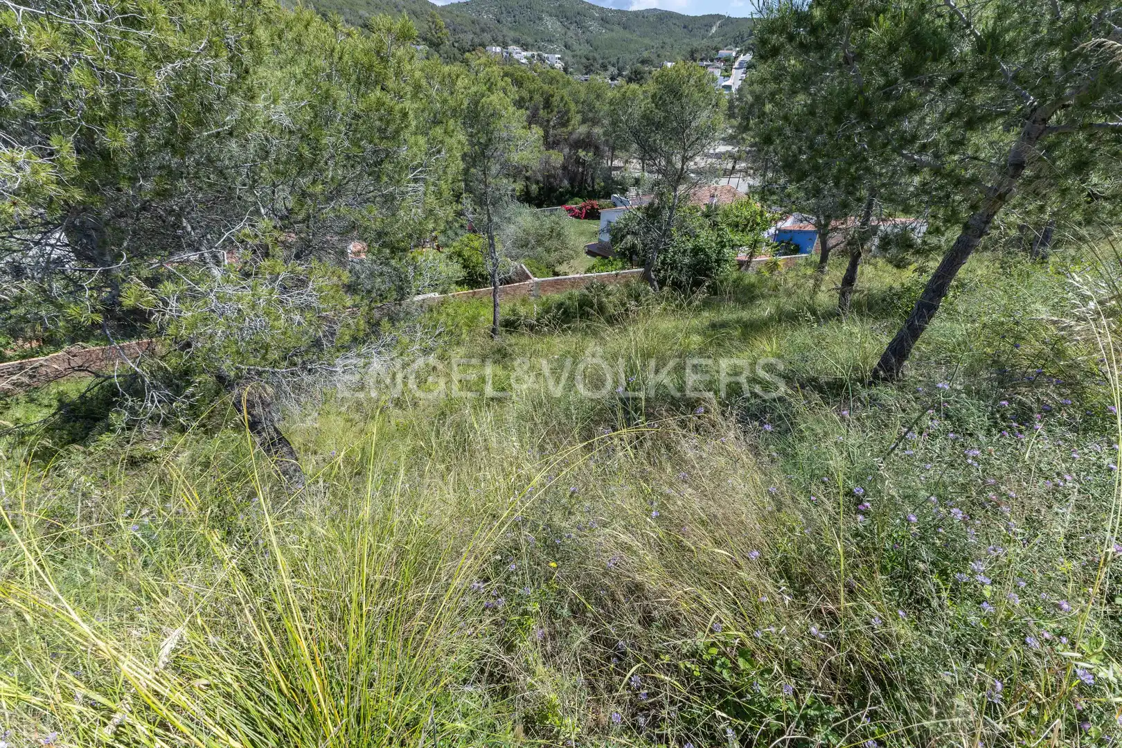 Residential land for sale in Mas Alba, imagen 17