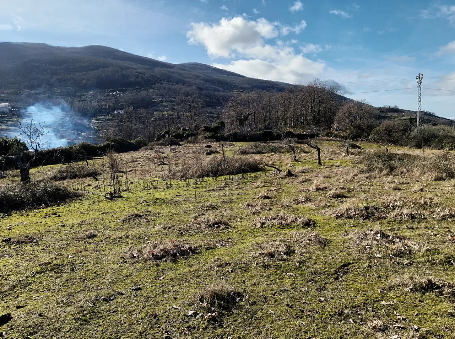 Terreno en venta en Casas del Castañar