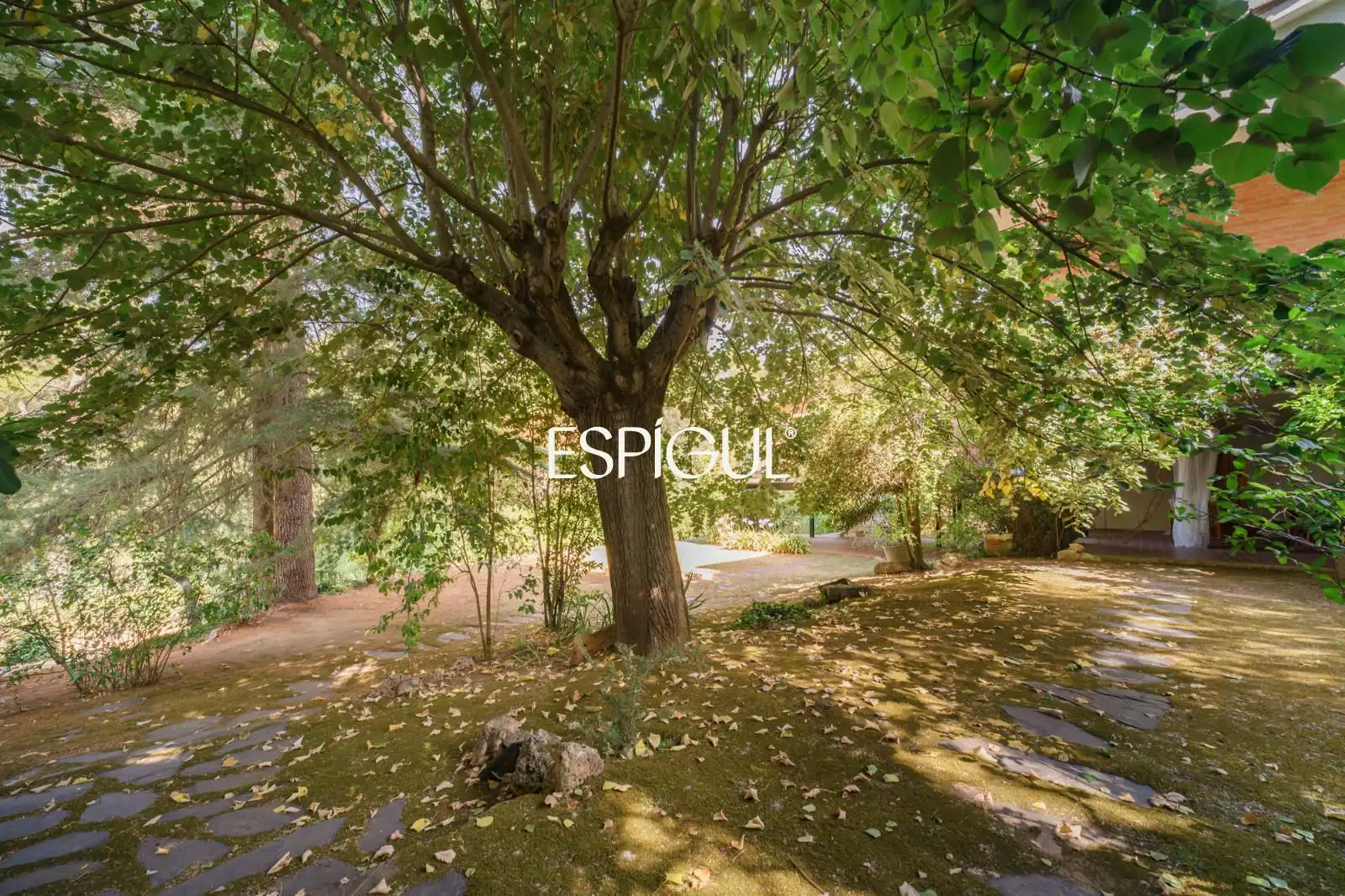 Jardín de Casa o chalet en venta en Cerdanyola del Vallès con Calefacción, Terraza y Trastero
