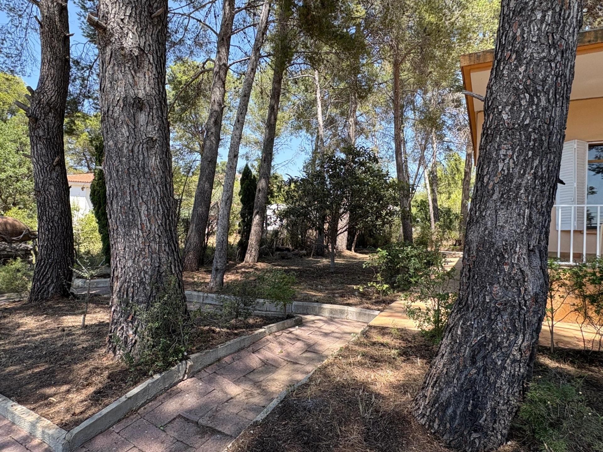 Garden of House or chalet for sale in Chiva  with Private garden, Terrace and Swimming Pool