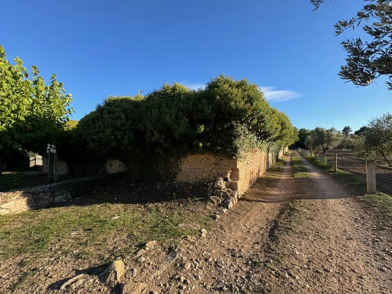Rural land for sale in Zn Diseminats 8, imagen 5