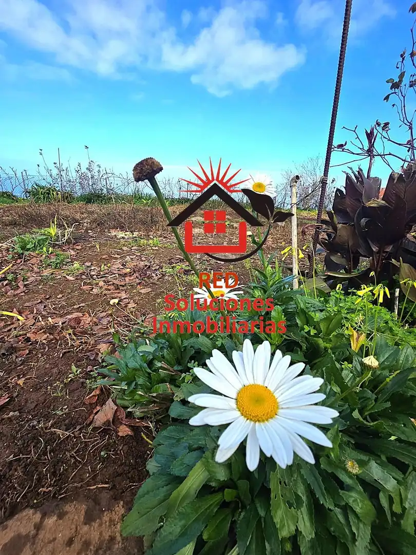 House with garden for sale in LOMO BERMEJO, imagen 28