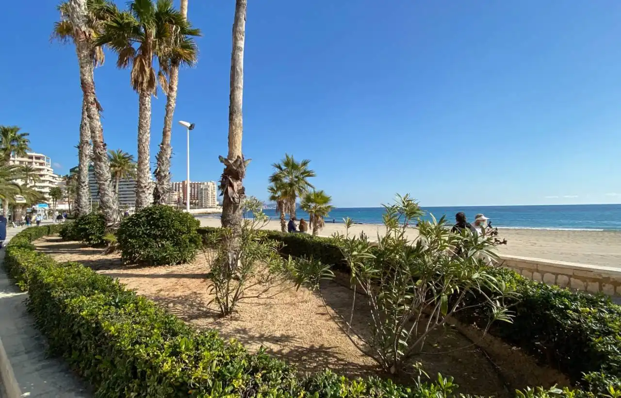 Mini appartamento con terrazza in vendita a Zona Levante - Playa Fossa, imagen 19