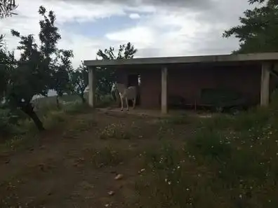 Rustikales Grundstück zum Verkauf in Ohanes, imagen 5