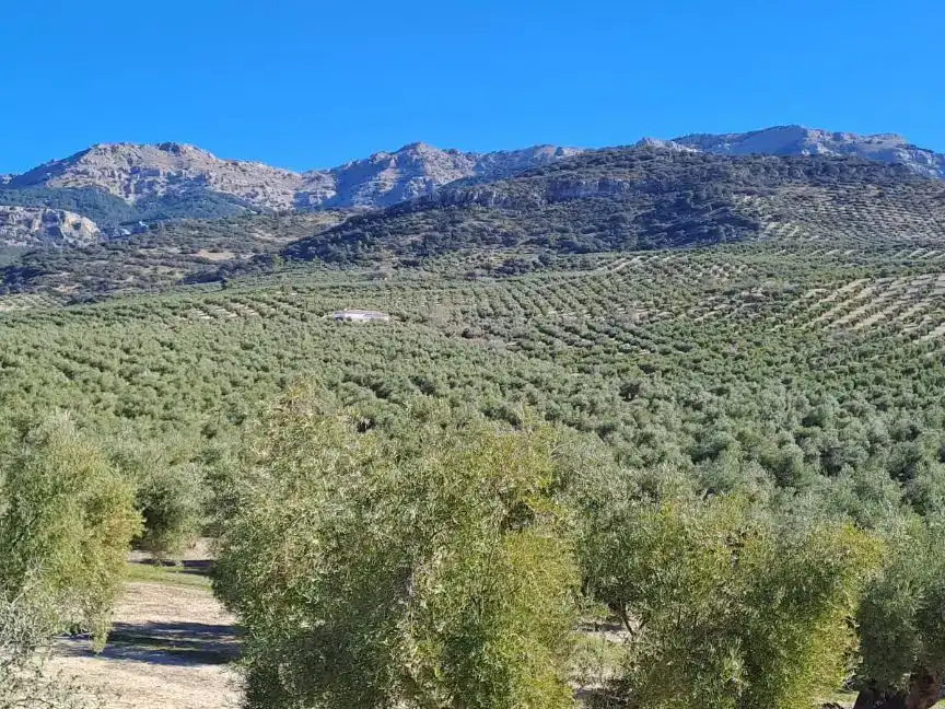 Finca rústica en venda en Quesada amb Aire condicionat i Balcó