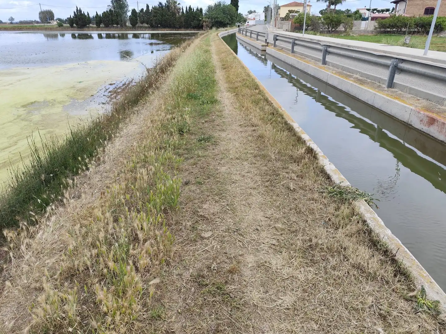 Terreny rústic en venda a Calle canalet de les salines partida bordiset, imagen 11