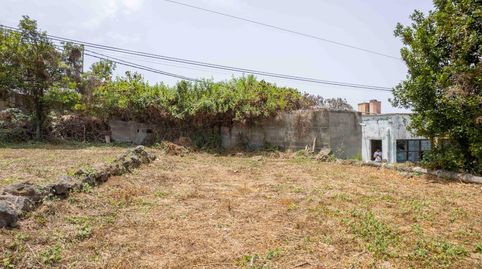 Foto 2 de Casa o chalet en venta en La Vega - El Amparo - Cueva del Viento, Icod de los Vinos