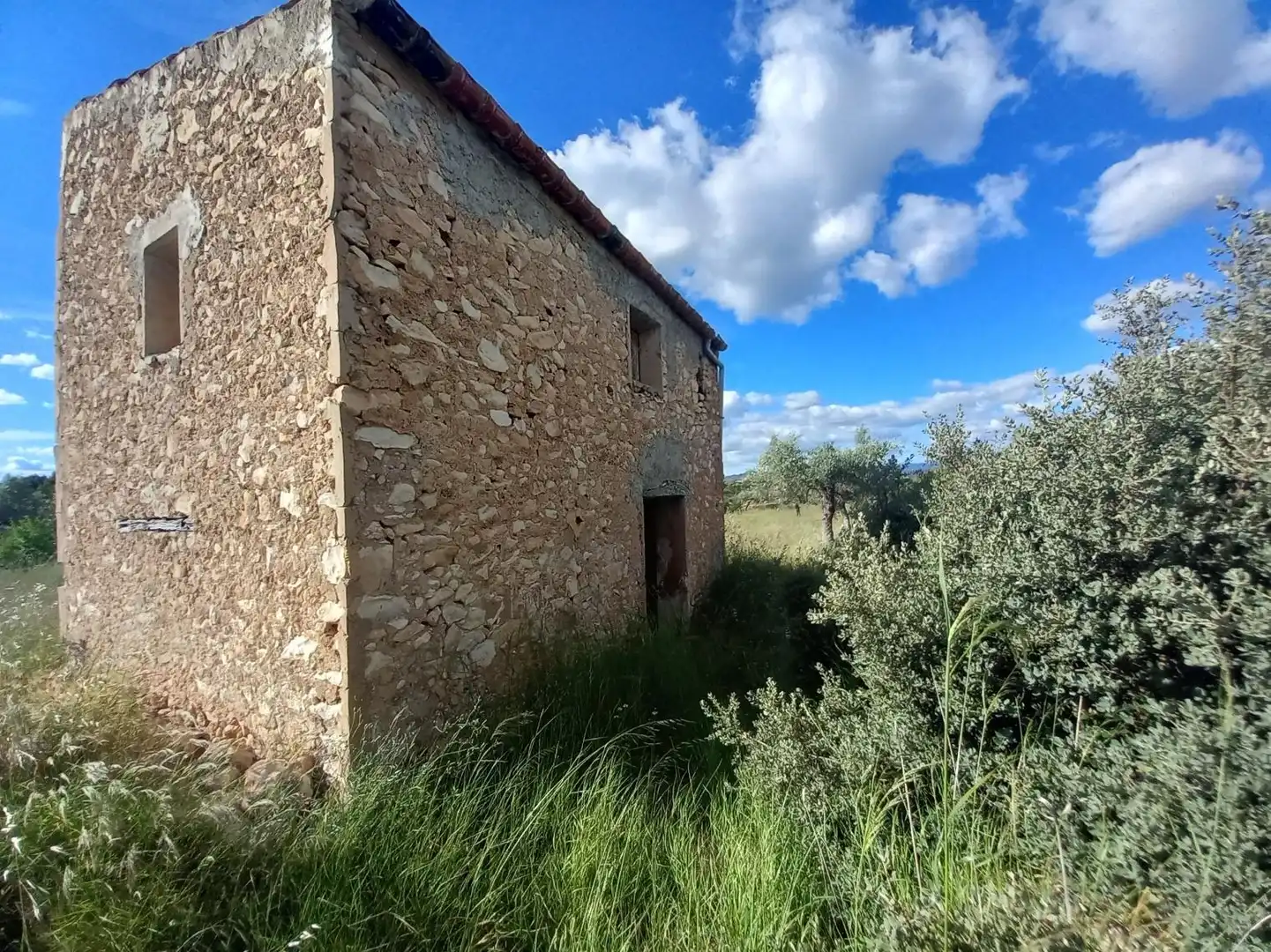 Terreno rústico en venta en Garcia, imagen 33
