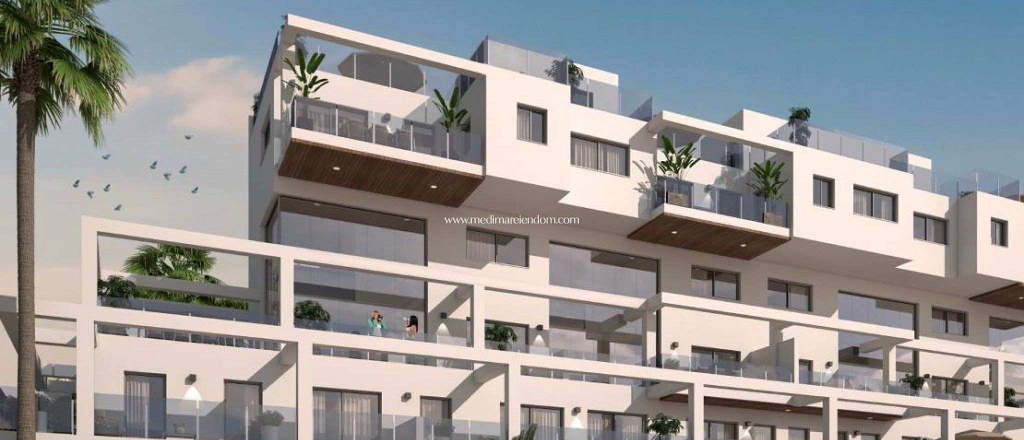 Exterior view of Attic for sale in Orihuela  with Terrace