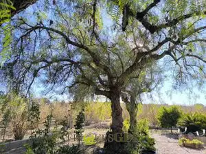 Finca rústica en venta en El Milà