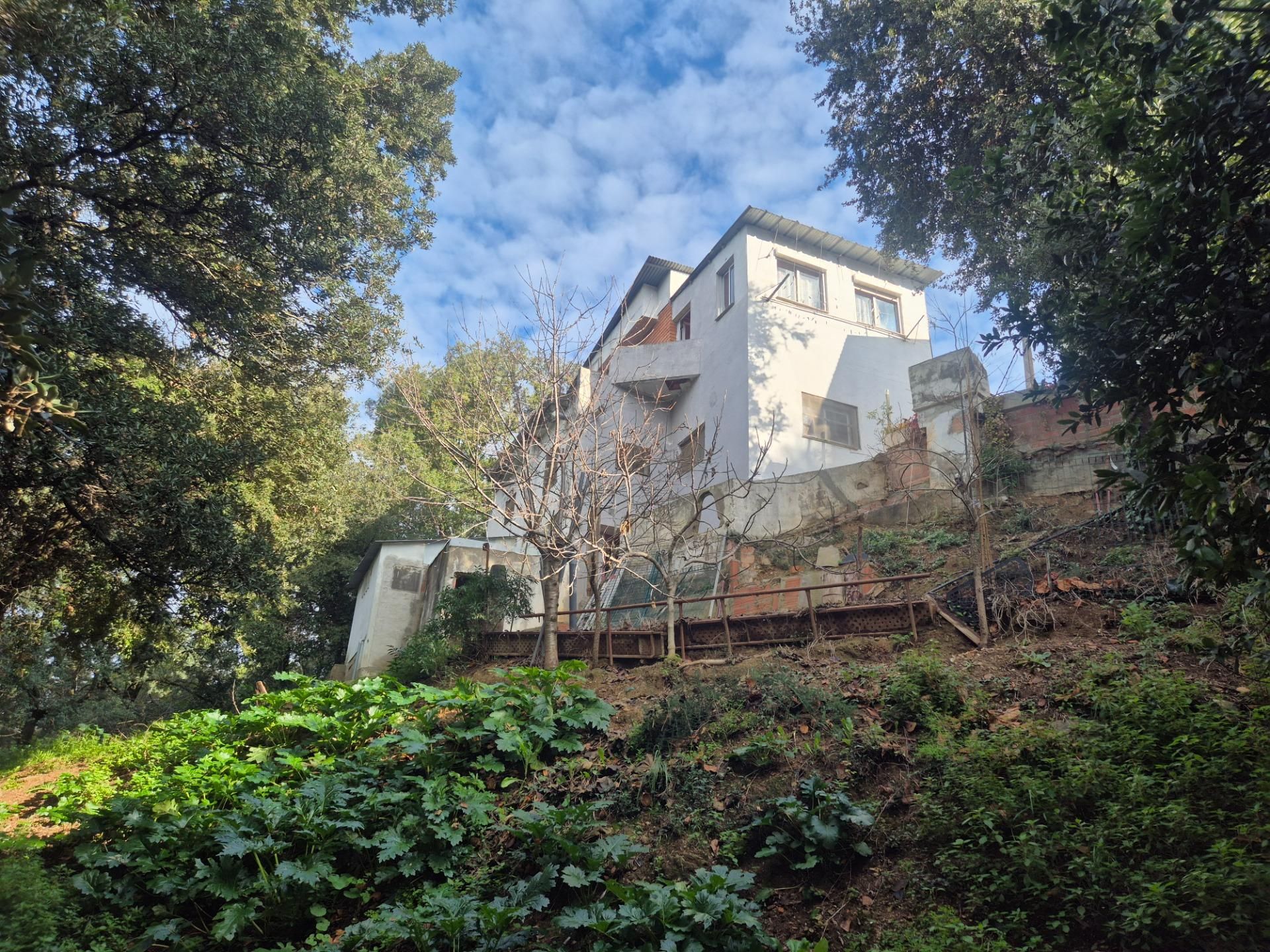 Vista exterior de Casa o chalet en venta en  Barcelona Capital con Jardín privado y Terraza