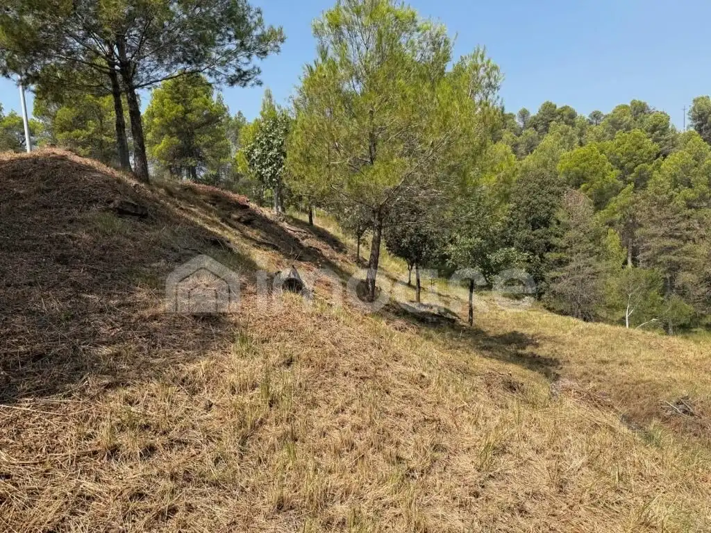 Terrenys i solars en venda a Avinyó, imagen 2