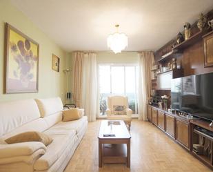 Living room of Flat for sale in  Madrid Capital  with Terrace