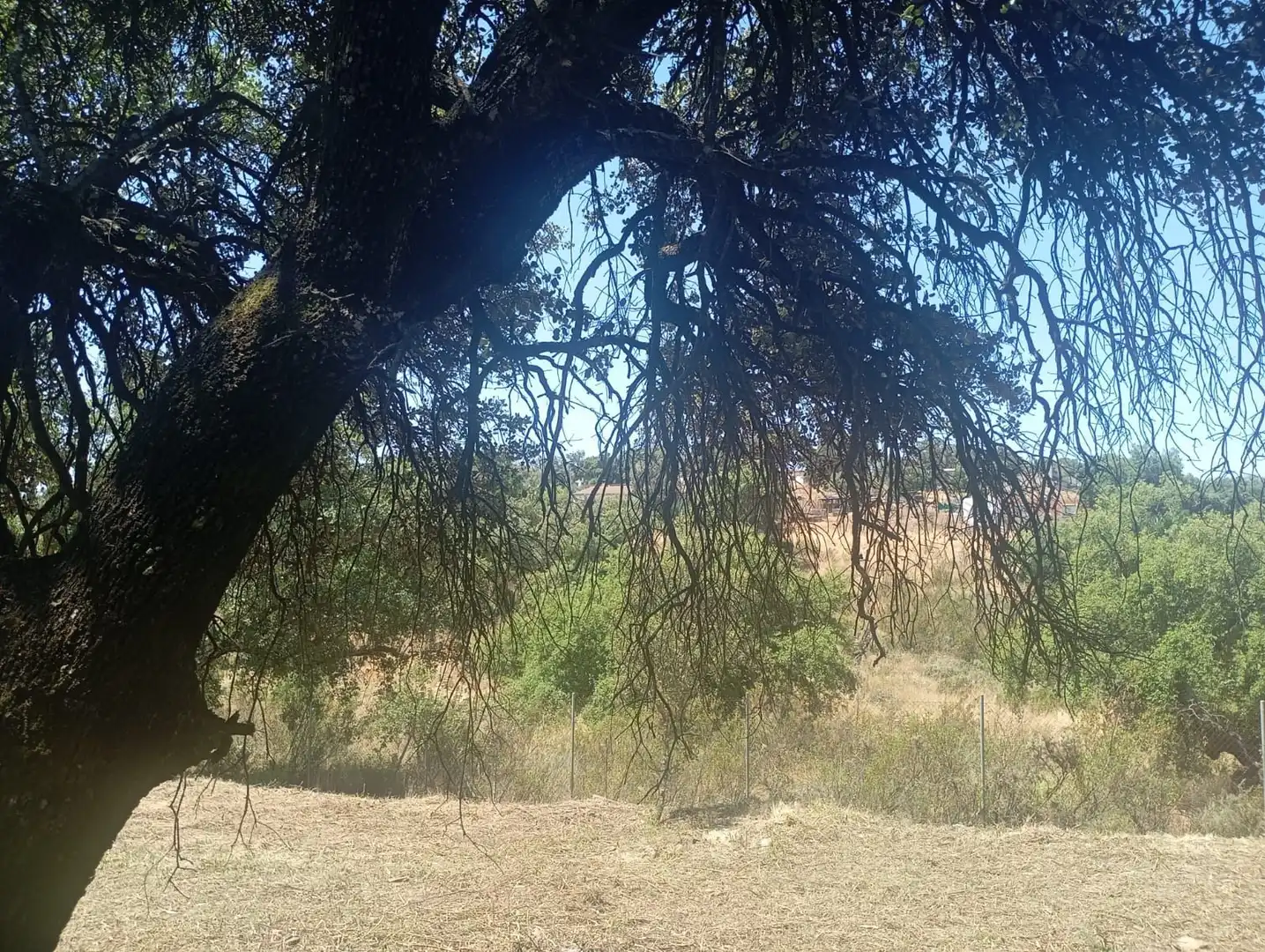 Terreni e lotti in vendita a Castilblanco de los Arroyos, imagen 30
