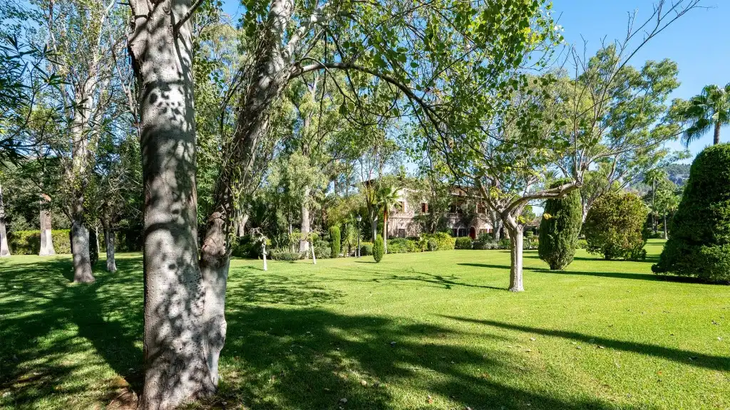 Casa rústica en venta en Pollença Poble, imagen 21