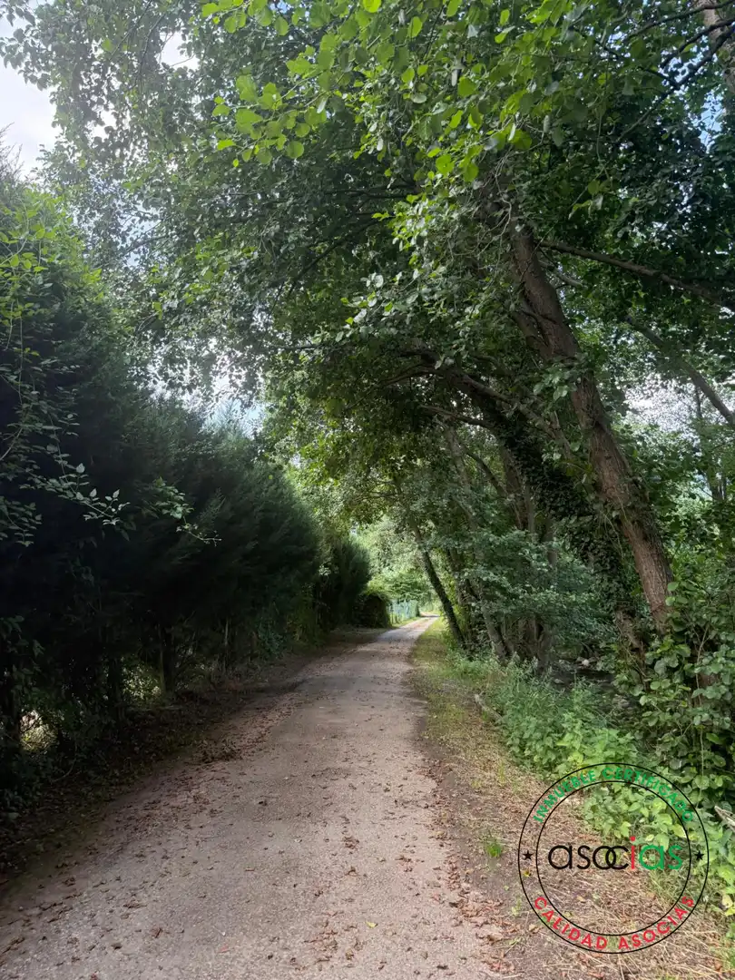 Exterior view of Land for sale in Quirós