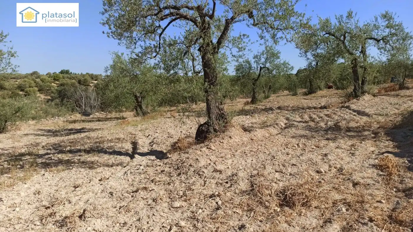 Terreni e lotti in vendita a de la Piedra Caballera, imagen 3
