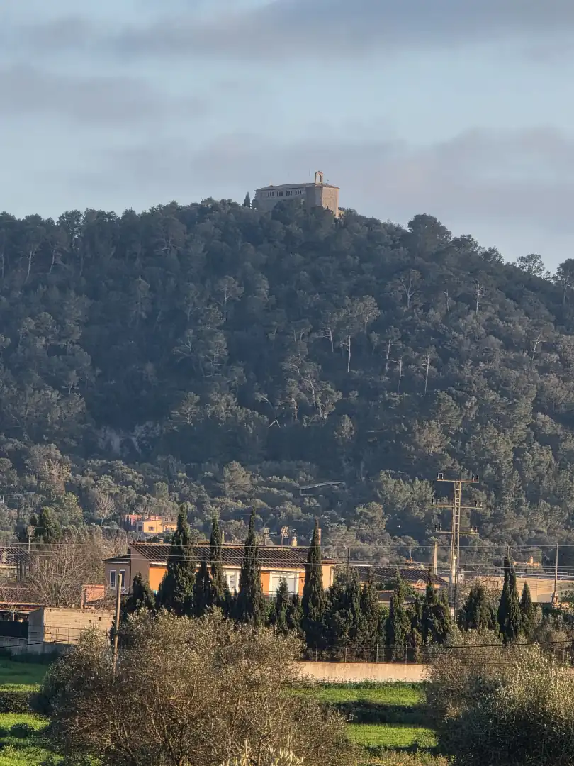 Exterior view of Country homes for sale in Manacor  with Air Conditioner, Private garden and Terrace