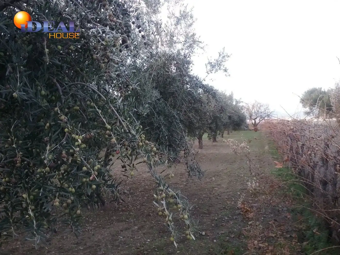 Finca rústica en venta en La Zubia Ciudad