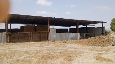 Photo 4 of Industrial buildings to rent in Camino Rambla de Purias, 2, Purias, Murcia