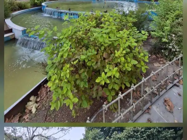 Jardí de Pis en venda en Fuenlabrada amb Terrassa
