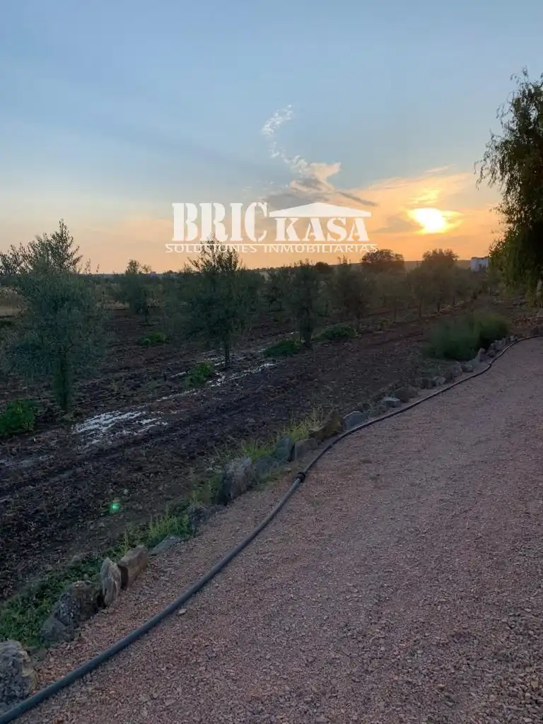 Residencial en venda en Almendral