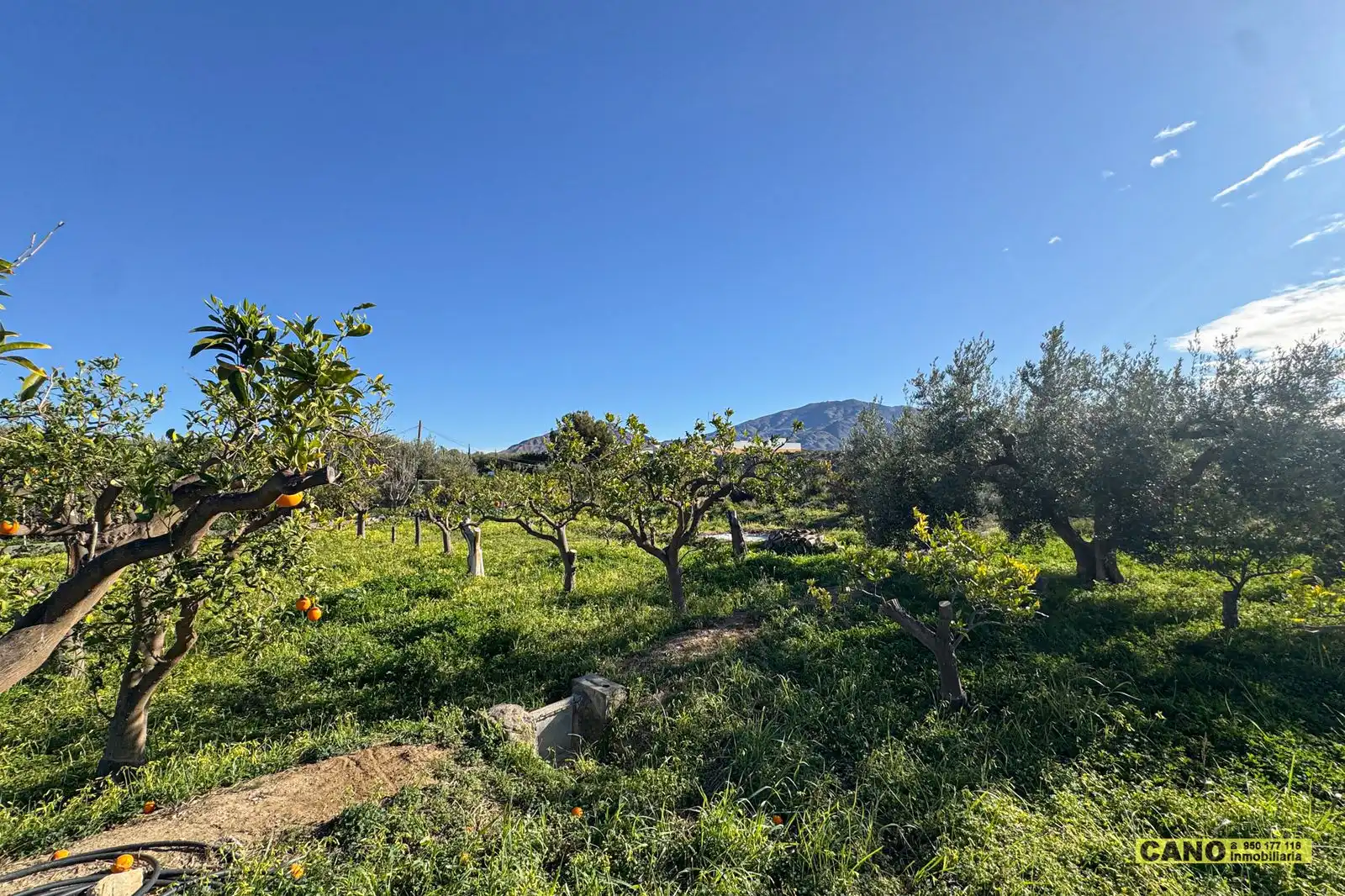 Casa o xalet en venda a a Paulenca/ Paraje Aneal , Gádor