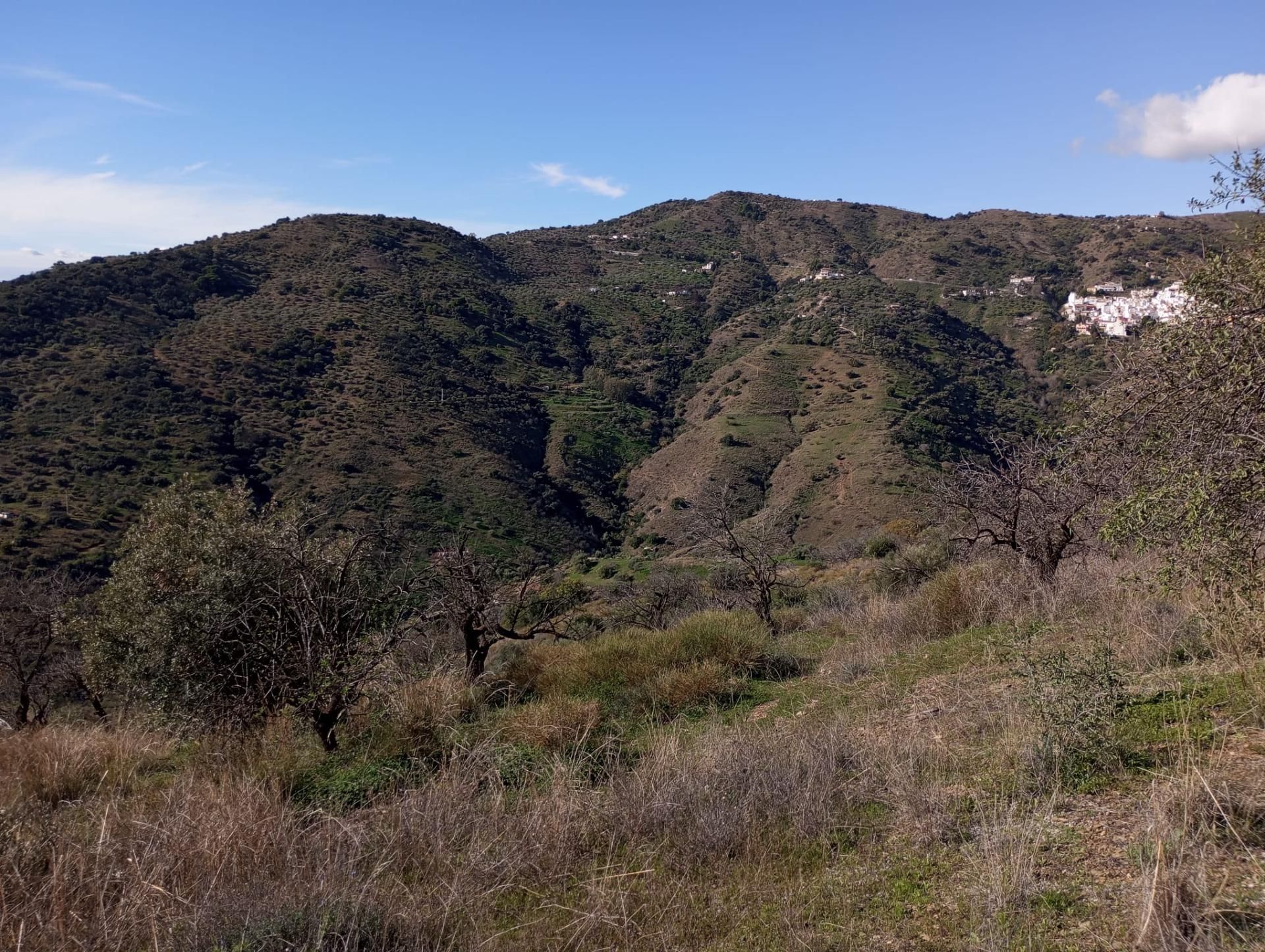 Exterior view of Land for sale in Totalán