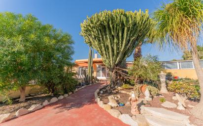 Exterior view of House or chalet for sale in Albatera  with Air Conditioner, Private garden and Terrace