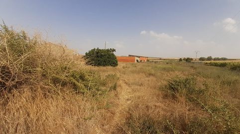 Foto 4 de Casa o chalet en venta en Madridanos, Zamora