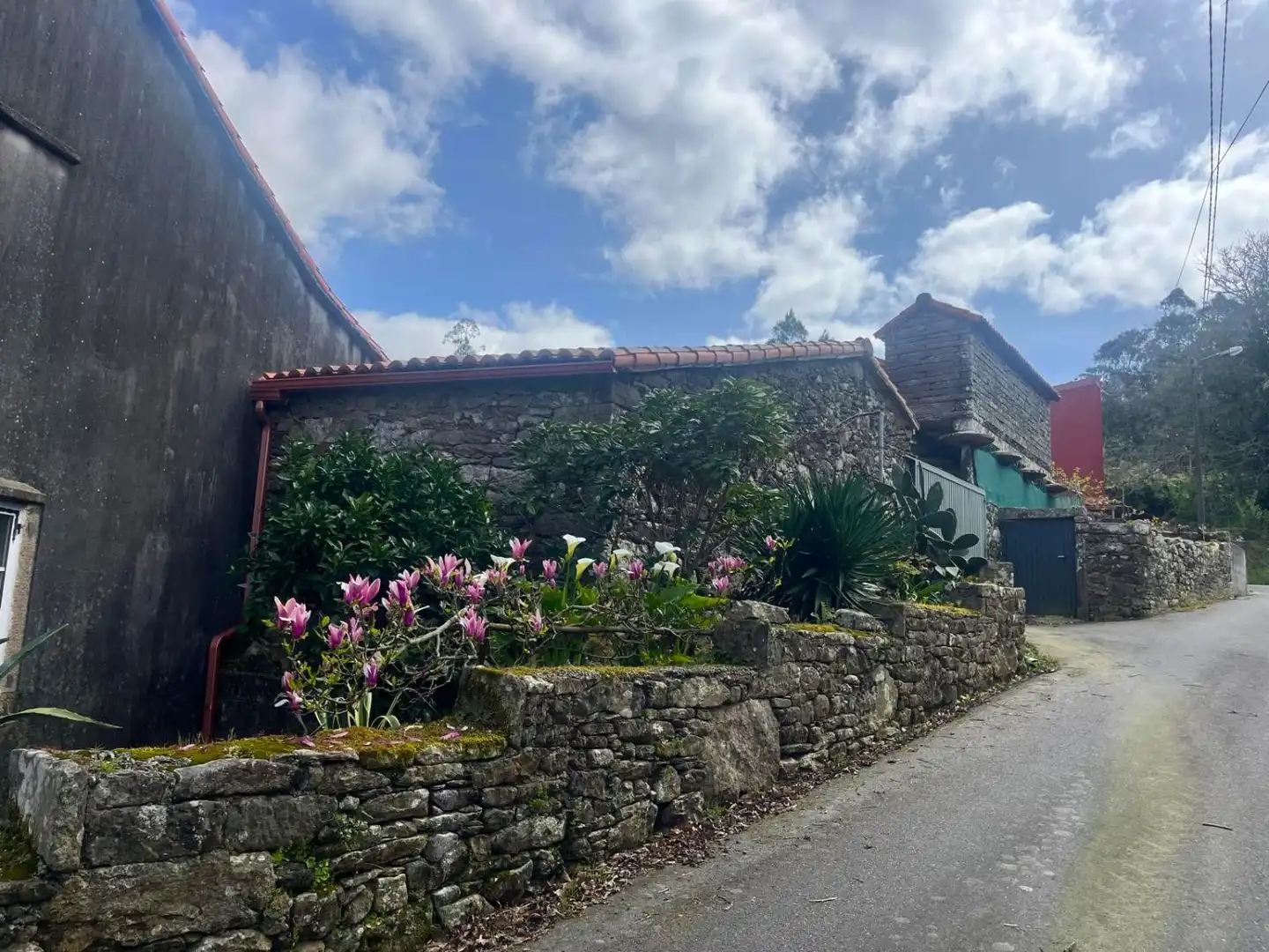 Vista exterior de Casa o chalet en venta en Zas